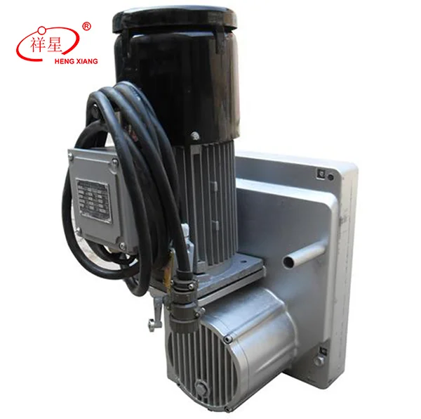 Rope suspended platform hoist motor, LTD63, LTD80